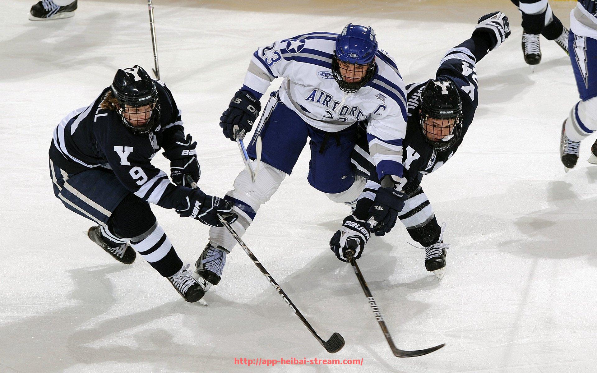 黑白体育直播-山东CBA球队发展史及近年战绩盘点