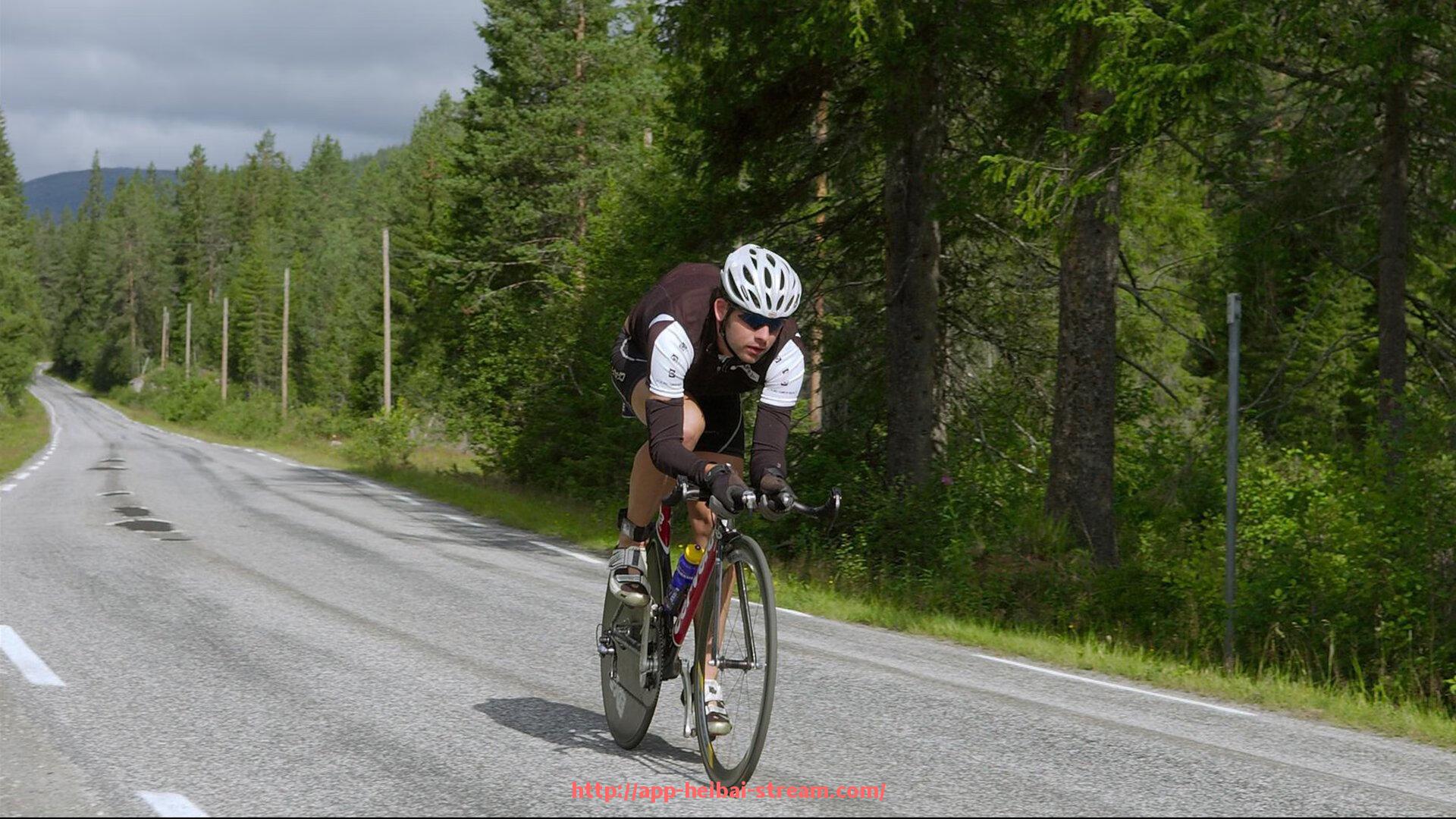 黑白体育直播-火箭队统计数据全面分析及赛季表现